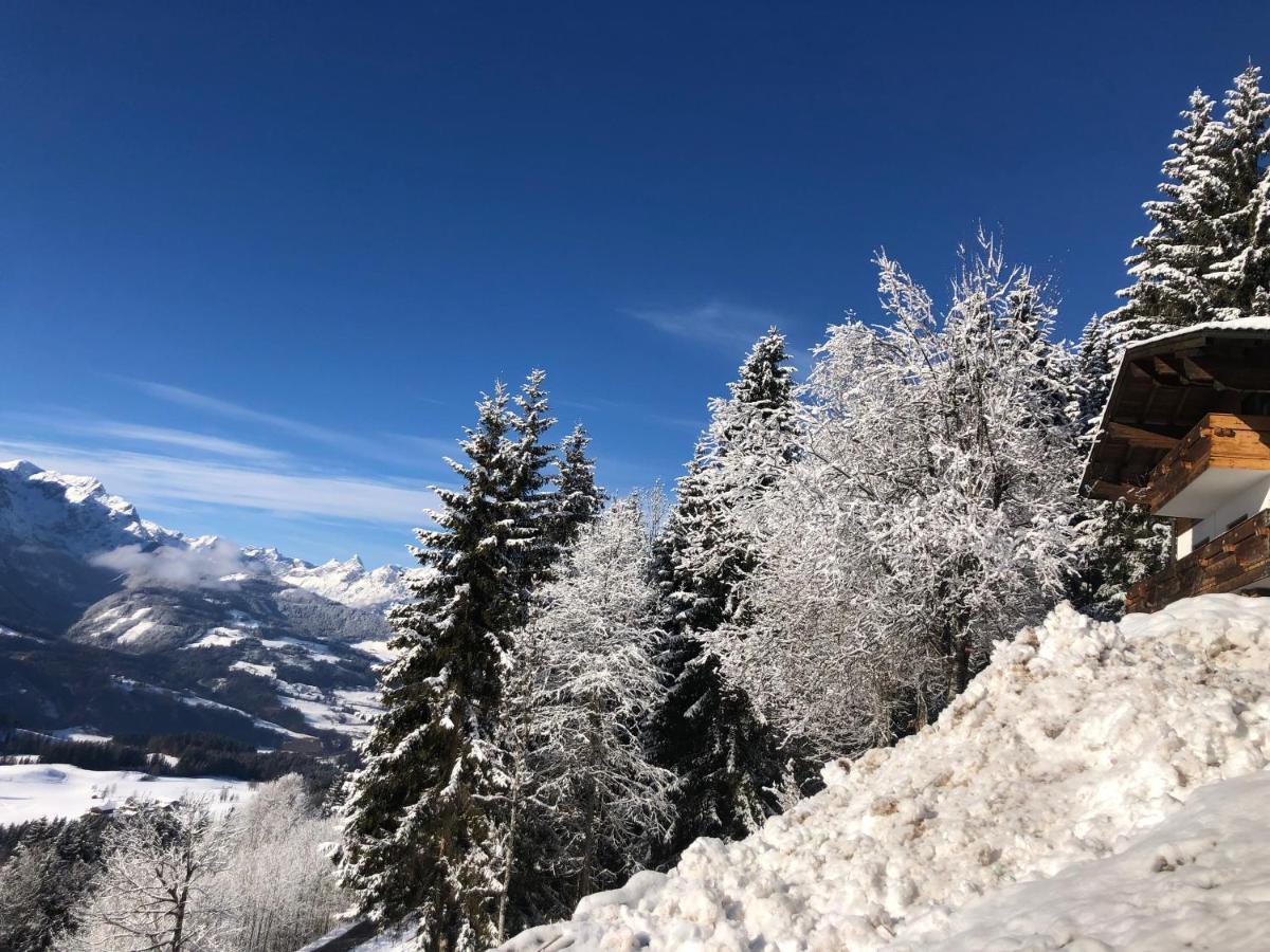 Ferienhaus Gerti Werfenweng Buitenkant foto